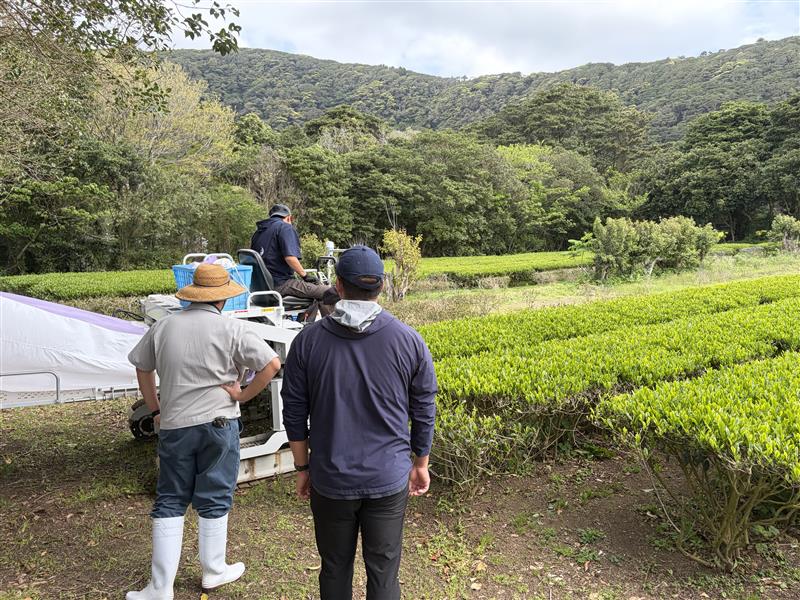 Image - 2026-04-20T173539.654